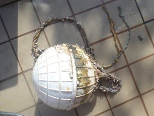 SAMSUNG CAMERA PICTURES